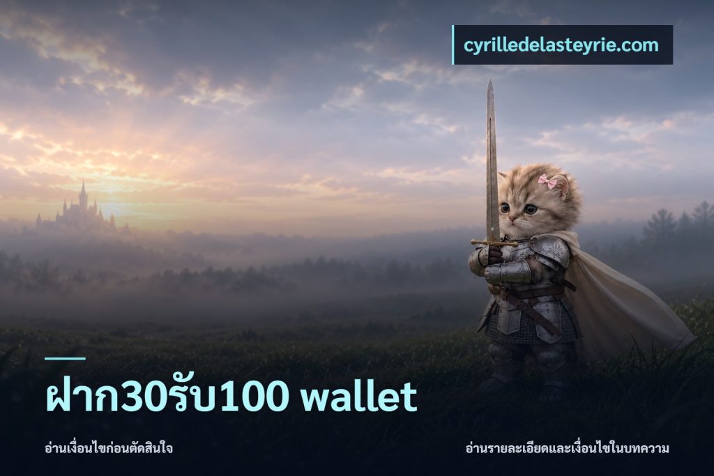 ฝาก30รับ100 wallet